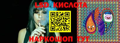 крисы Боровичи