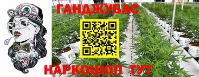 крисы Боровичи