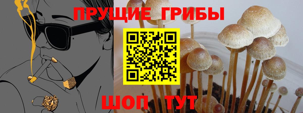 Галлюциногенные грибы мухоморы  Вход с VPN  Миасс  Псилоцибиновые грибы MAGIC MUSHROOMS 